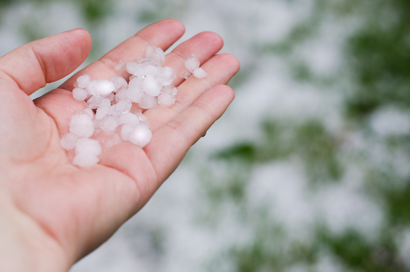 Person with open hand holding hail