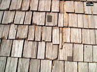 aged_cedar