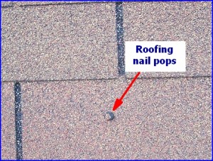 Roofing Nail Pops